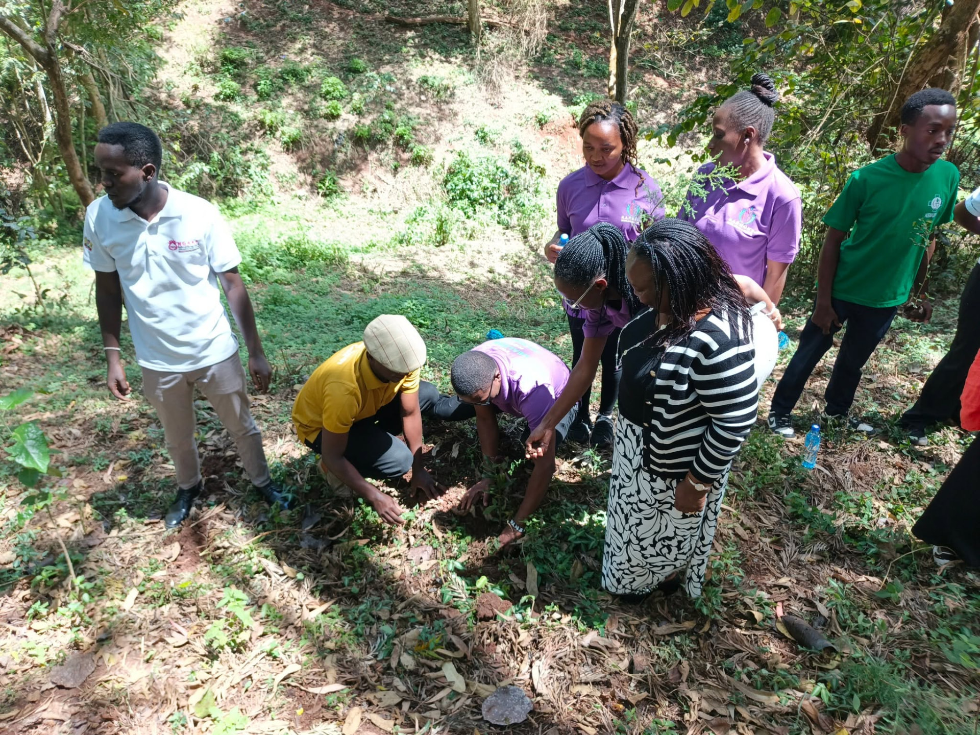 Harmony Therapy Centre staff during a community tree planting outreach